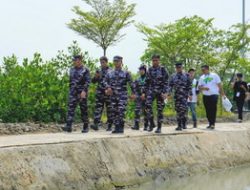 Komandan Kodaeral III Hadiri Penanaman Mangrove Bersama Wakil Presiden RI