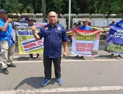 HARGA PAKAN TINGGI DAN MINIMNYA PERLINDUNGAN TERHADAP PETERNAK,  PETERNAK AYAM DESAK PEMERINTAH PERHATIKAN KESEJAHTERAAN  PETERNAK